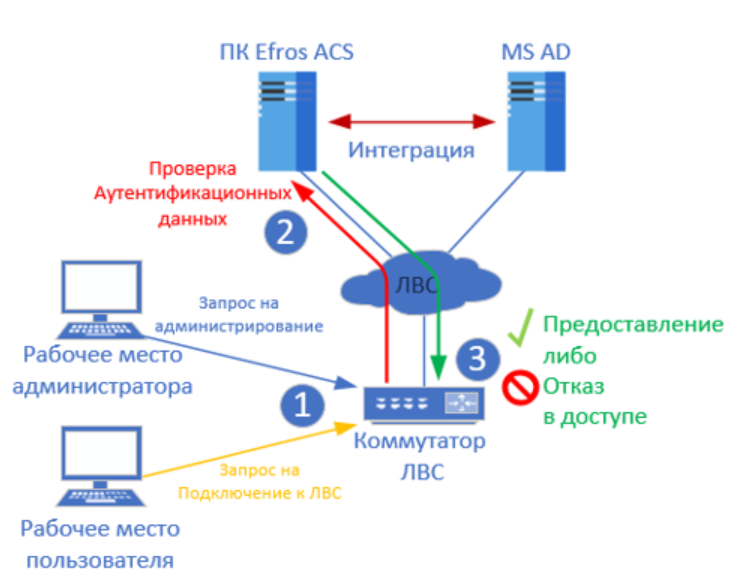 Что такое сетевой проект